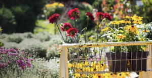 Step into Spring at The Great Big Home + Garden Show