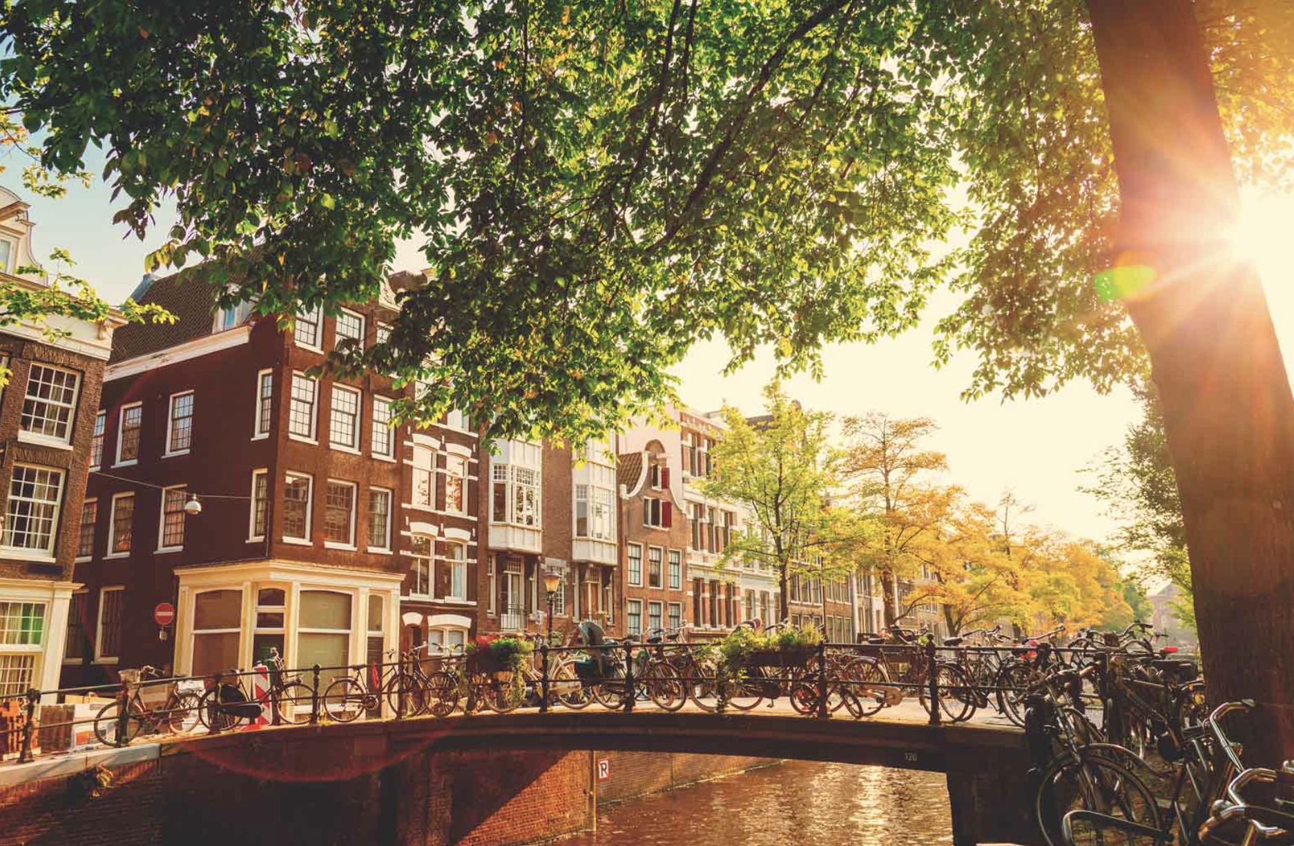Amsterdam Unveiled: A Cultural Adventure Awaits